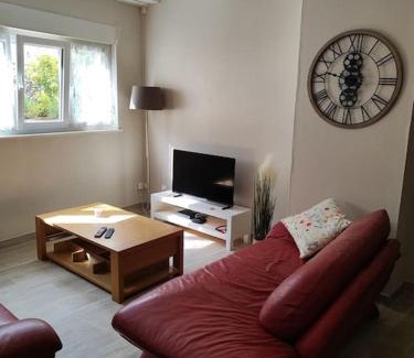 Scey-sur-Saone-et-Saint-Albin Apartment | Le sceycolais Appartement spacieux avec terrasse