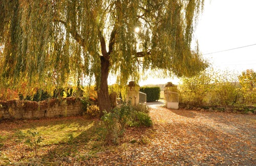 Allonnes House | Le gîte de Russé, Country house between vineyard and Loire