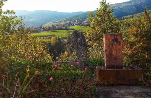 Osenbach Apartment | Le Gîte des Orchidées in the heart of nature, panoramic view n°2