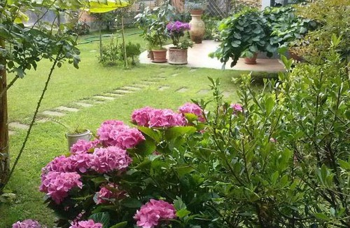 Caselle Torinese Bed & Breakfast | Le ginestre
