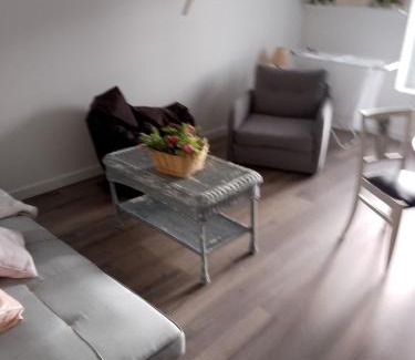 Montbrison Apartment | Le grand plein centre