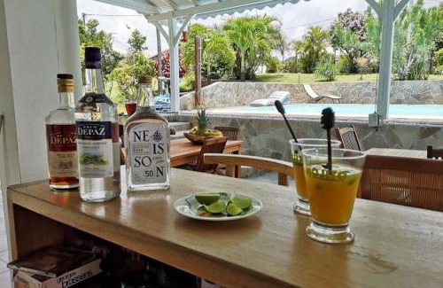 Le Morne-Vert Villa | Le jardin des B-joux