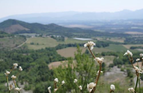 Sigoyer House | Le Jas des Sagnières - Un Gite de Charme en Haute Provence