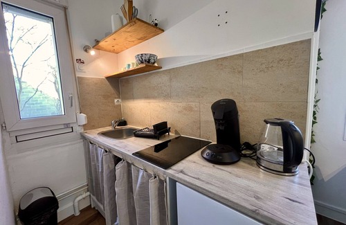 Liberation Apartment | Le Jungle - Rivière - 4 Pers - Rêve au Mans