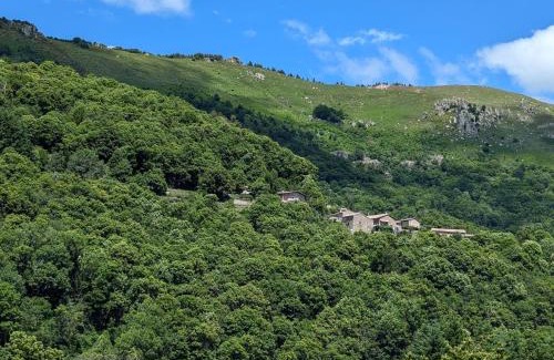 Labastide-sur-Besorgues Bed & Breakfast | Le lys de la vallée