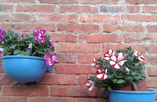 Valiano Apartment | Le Manzinaie - Magic Rose apartment with pool