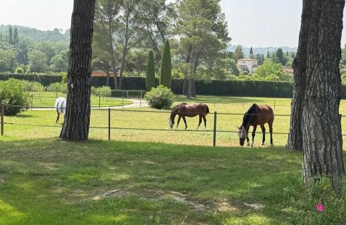 Chateauneuf-Grasse House | Le Mas Rose