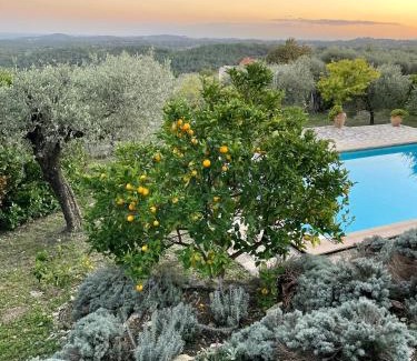 Opio Villa | Le Mas sous le Vent