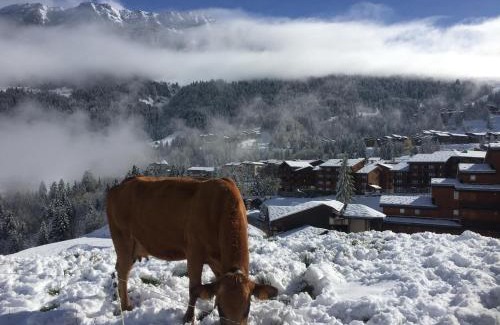 Les Avanchers-Valmorel Apartment | Le MAZOT chalet Lucie