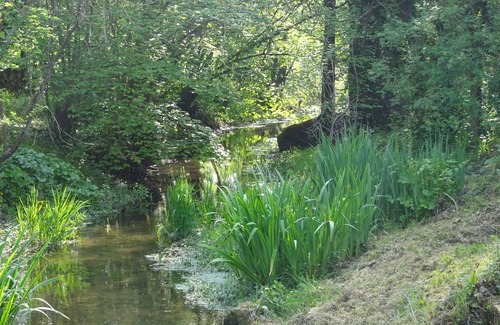 Quincay Apartment | Le Moulin de Ringere, à 15 Minutes du Futuroscope, Calme en Bordure de Rivière