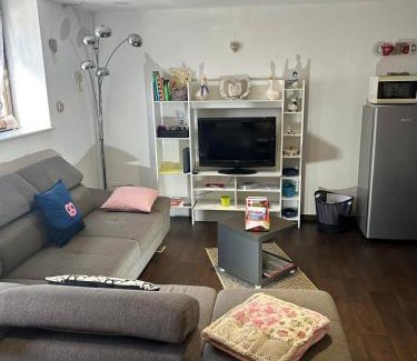 Horbourg-Wihr Apartment | Le Nid Alsacien - Appartement cosy & lumineux à 10min de Colmar