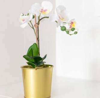 Le Blanc-Mesnil Apartment | Le Nid - Paris - Le Blanc Mesnil
