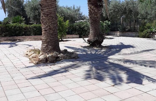 Falconara Apartment | Le Palme Casa Vacanze