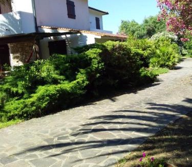 Lido di Capoliveri Apartment | Le Palme