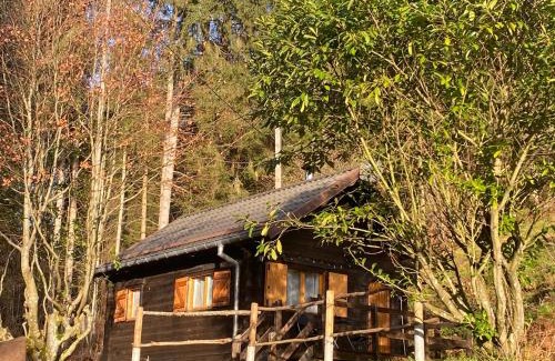 Natzwiller Ski Chalet | Le Paradis de Verdure