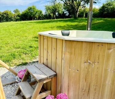 Alloue Villa | Le Pavillon, Grand Manoir du XVIIe avec Piscine, Bain Nordique et accès privé à la Charente