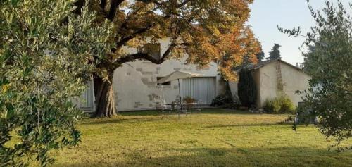 Barbentane House | Le petit mas en provence avec piscine