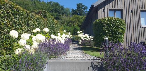 Stavelot Ski Chalet | Le Petit Moussis