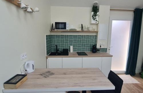 Roche-la-Moliere Apartment | Le Petit Roche