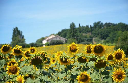 Cupramontana Bed & Breakfast | LE PIUME B&B
