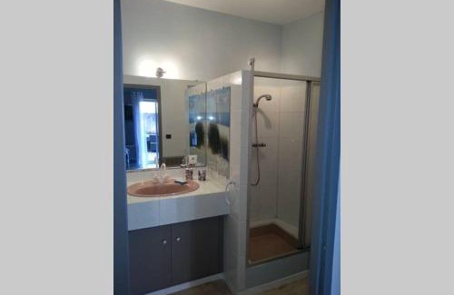 Vieux Vichy Apartment | LE PORTE VERRIER - MEUBLE CLASSE 3étoiles - Hypercentre - Terrasse 30M2, Vue Parc