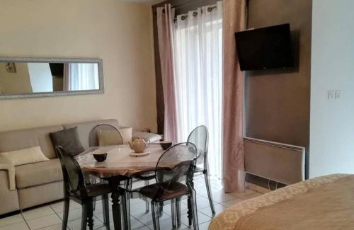 Vieux Vichy Apartment | LE PORTE VERRIER - MEUBLE CLASSE 3étoiles - Hypercentre - Terrasse 30M2, Vue Parc