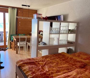 Leysin Apartment | "Le Ptit Nid" studio avec vue à couper le souffle à Leysin !