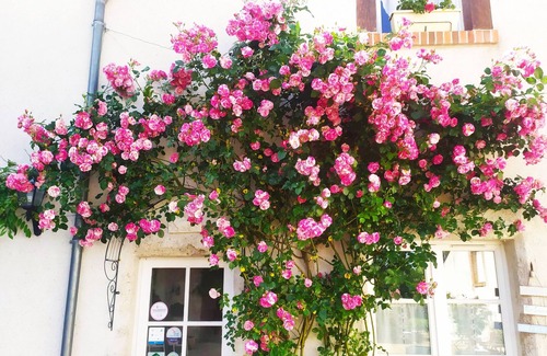 Montlivault House | Le Puits, charming room near Chambord, Blois and Cheverny