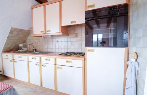 Lapoutroie Apartment | Le Refuge Rustique. (accepte les animaux)