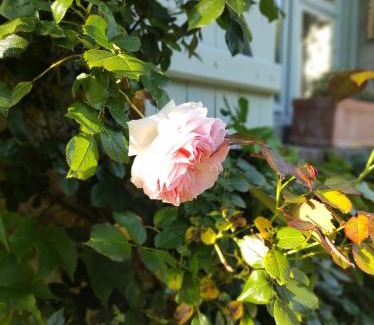 Prunay-en-Yvelines Bed & Breakfast | Le Relais d'Antoinette
