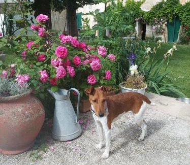 Vatan House | Le Relais des Roses- Chambres d'hôtes
