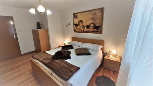 Montagnaga Apartment | Le Rondini di Casa Bernardi, sole e natura sulle Dolomiti Wi-Fi PetFriendly con Area Cani