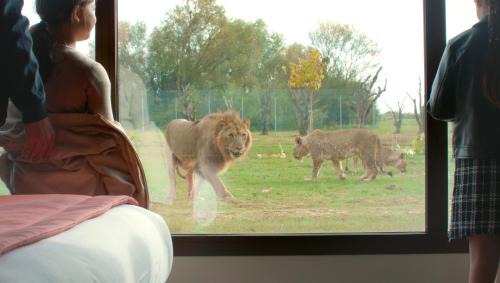 Lumigny-Nesles-Ormeaux Hotel | Le Royaume des Lions