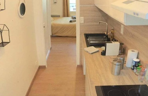 Cœur de Ville Apartment | Le Skandi - Renovated and well located studio
