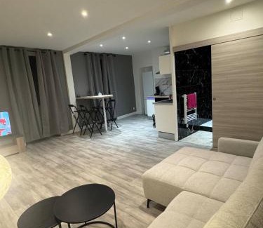 Bourg-en-Bresse Apartment | le spacieux appart