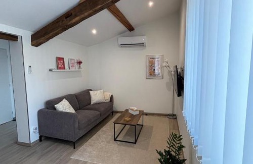 Macon Apartment | Le ST PIERRE, joli T2 entièrement rénové en plein coeur du centre ville