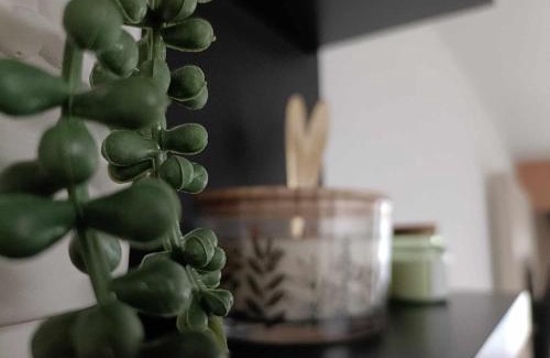 Fayt lez Manage Apartment | Le Studio