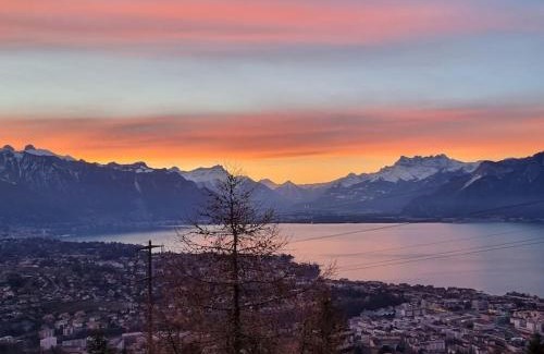 Chardonne Apartment | Le toit de Chardonne - Entre Alpes et lac Léman