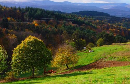 Auzon Communaute Bed & Breakfast | Le Vallon d'Armandine, gîte écologique Auvergne