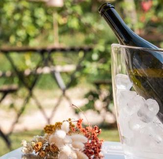 Farra di Soligo Apartment | Le Vigne del Gallo