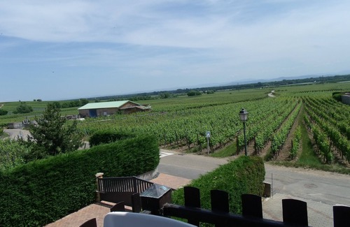 Bennwihr Apartment | Le Vignoble