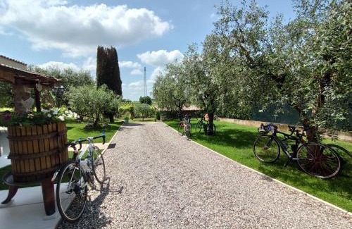 Colà Di Lazise Bed & Breakfast | Le Zampolle B & B