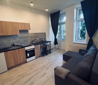 Gniezno Apartment | Lecha Street C