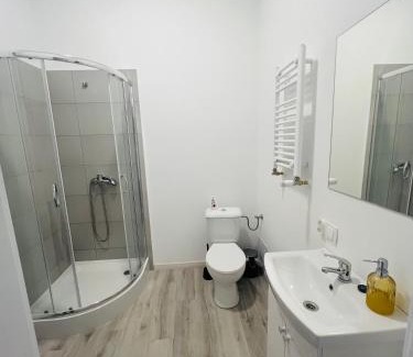 Gniezno Apartment | Lecha Street C