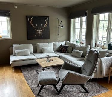 Roldal Apartment | Leilighet i 1 etg Røldal