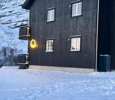 Roldal Apartment | Leilighet i 1 etg Røldal