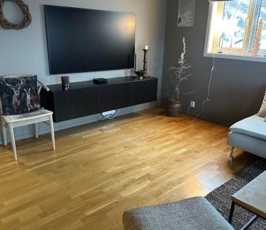 Roldal Apartment | Leilighet i 1 etg Røldal