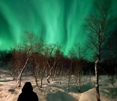 Tromso Apartment | Leilighet med utsikt!