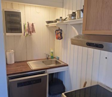 Fyresdal Apartment | Leiligheten