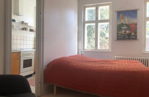 Ribe Apartment | Lejlighed i hjertet af Ribe
